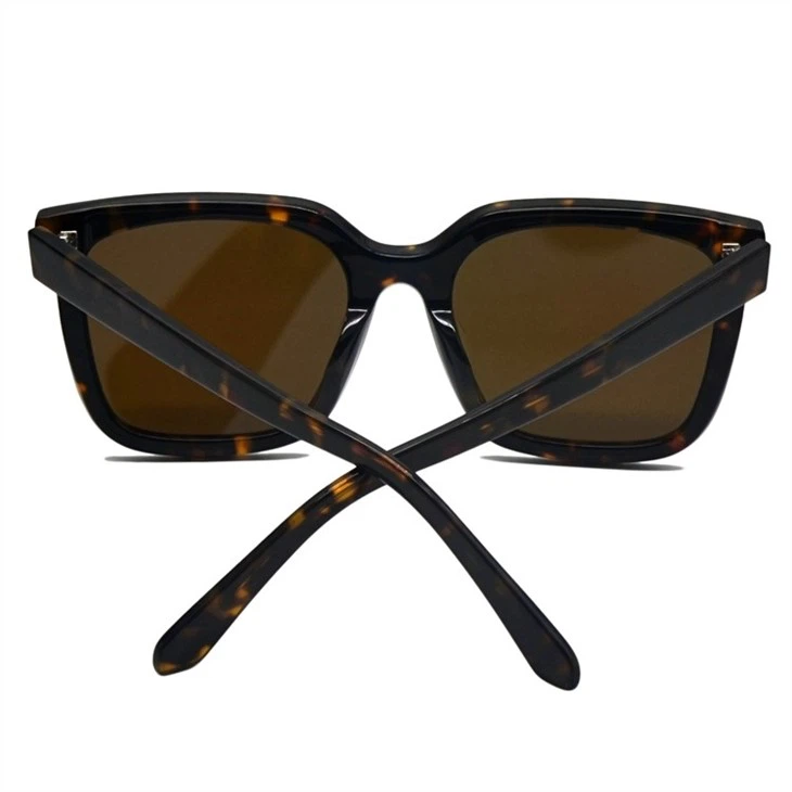 Acetate sunglasses for men (5)
